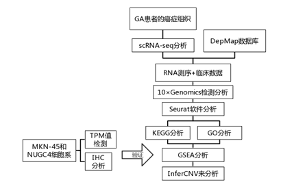 文献解读|Nat Commun（14.919）：胃印戒细胞癌的单细胞分析揭示了细