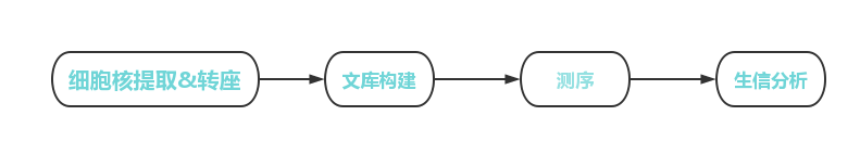 ATAC项目流程.png