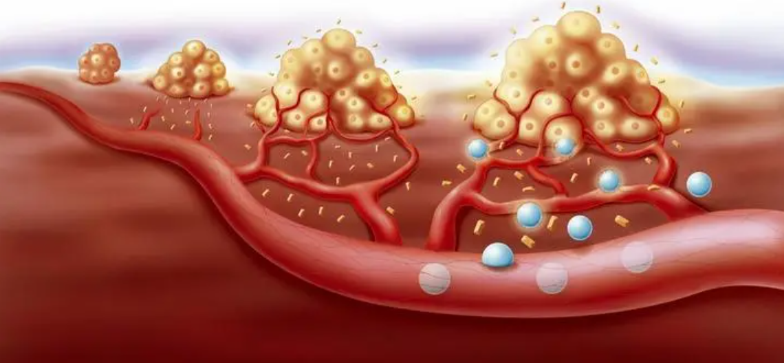 文献解读|Cell Rep（8.8）：单核多组学分析鉴定与心外膜冠状动脉相关的人