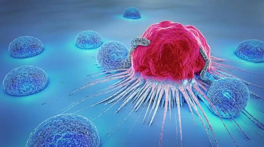 文献解读|Cell Rep Med（14.3）：微生物和代谢谱揭示了肥胖相关结直