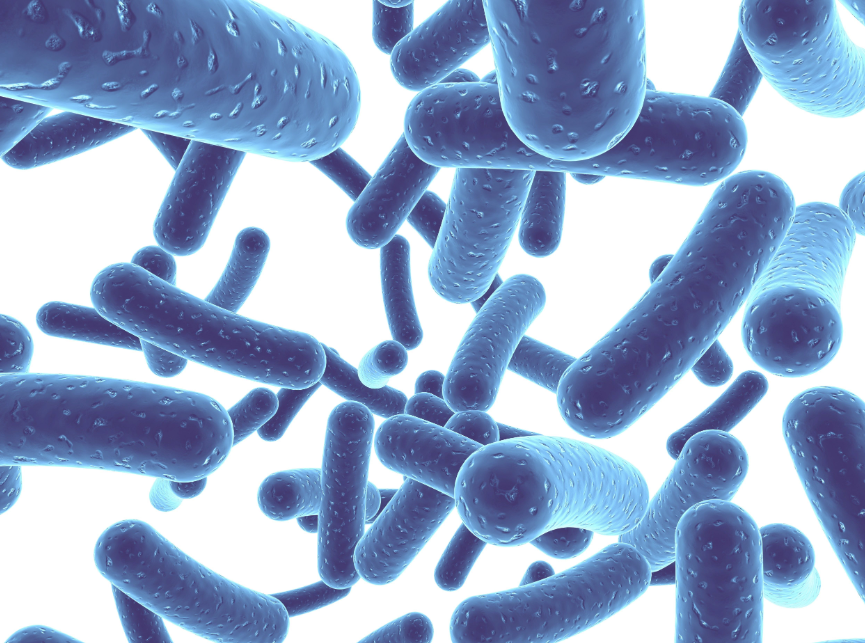 文献解读|Nat Microbiol（20.5）：人类阴道微生物组的 33804