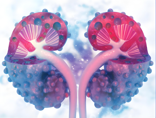 文献解读|Signal Transduct Target Ther（40.8）：