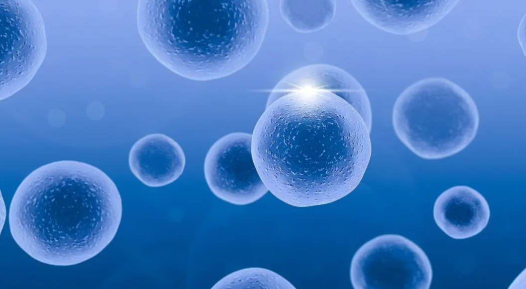 生殖器官单细胞测序太难？ 开泰轻松攻克卵巢/子宫/睾丸，数据完美交付！