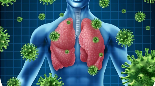 文献解读|Signal Transduct Target Ther（40.8）：