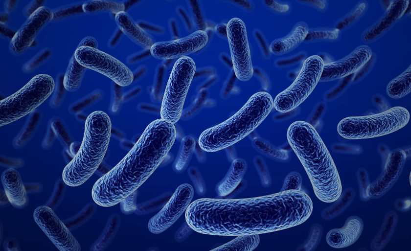 文献解读|Cell（45.5）：双向营养供应环境通过对营养吸收和宿主防御的差异调