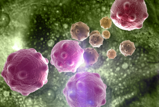 文献解读|Nat Genet（29.0）：胆囊癌的多组学分析确定了与疾病进展相关