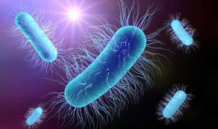 文献解读|Nat Microbiol（20.5）：帕金森病药物恩他卡朋通过铁隔离