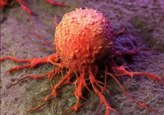 文献解读|Nat Genet（29.0）：KDM4C 抑制通过促进组织蛋白酶 L