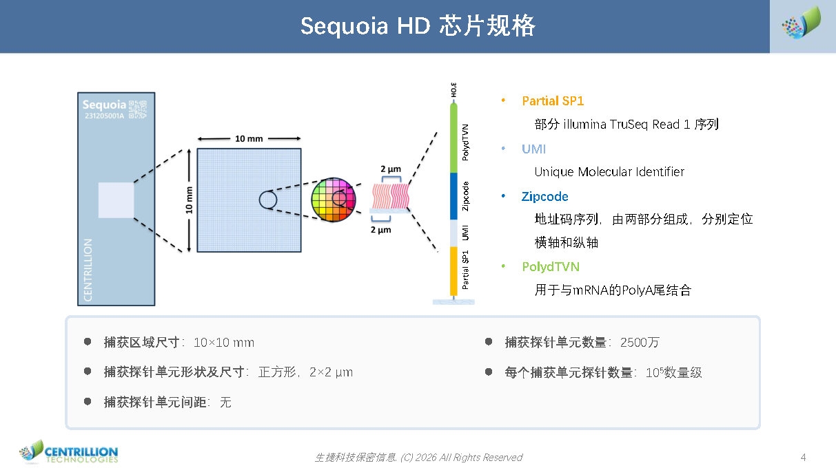 Sequoia HD空间转录组解决方案_2026(2)_Page4.jpg